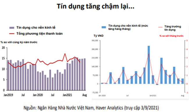 Nam 2022 cau tin dung se duoc cai thien 2