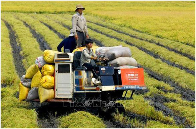 Phat trien nong nghiep nong thon theo huong cong nghiep hoa hien dai hoa 2