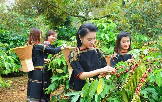 Kế hoạch hành động của ngành ngân hàng nhằm phát triển kinh tể - xã hội vùng Tây Nguyên