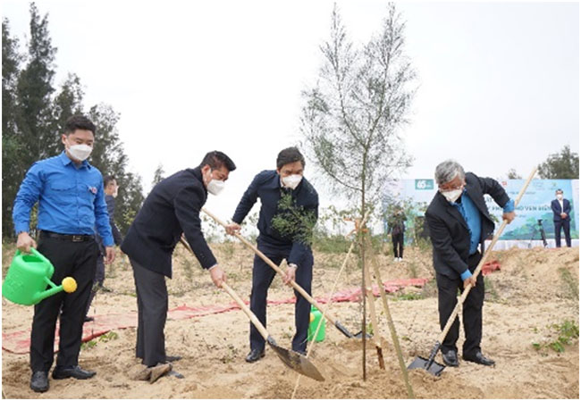 BIDV trong 6500 cay phong ho ven bien tai Nghe An 2